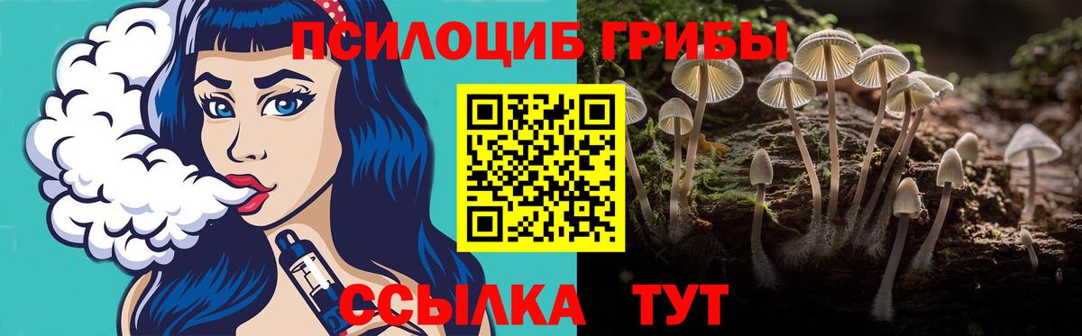 Псилоцибиновые грибы Cubensis  Вход с VPN  Кубинка 