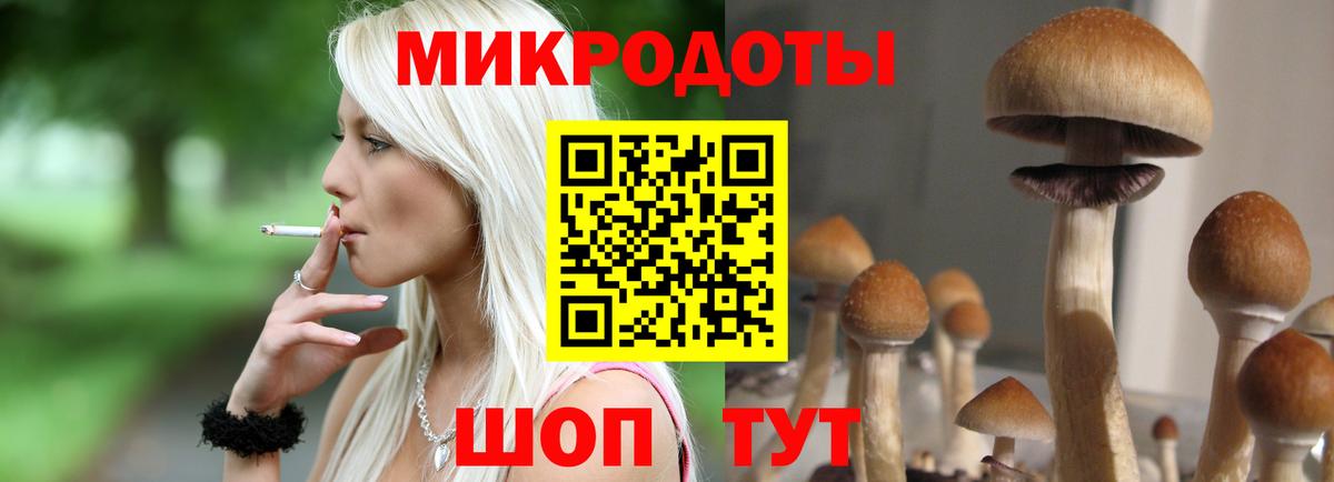 Галлюциногенные грибы прущие грибы Кубинка